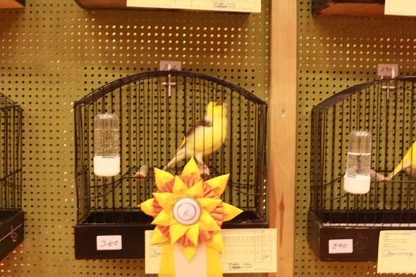 jfkksyd 2010 016